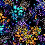 Colour:F