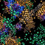 Colour:F
