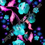 Colour:F