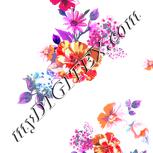 Colour:B