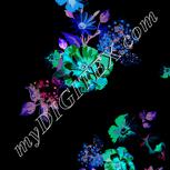Colour:F
