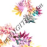 Colour:J