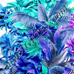 Colour:B