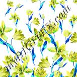 Colour:C