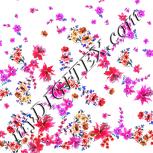 Colour:B