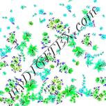 Colour:C
