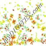 Colour:K