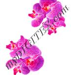 Colour:J