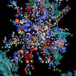 Colour:F