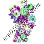 Colour:C