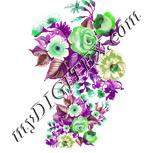 Colour:D