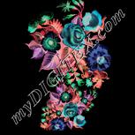 Colour:F