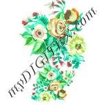 Colour:K