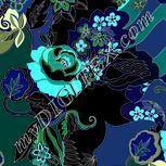 Colour:F