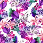 Colour:B