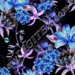 Colour:F