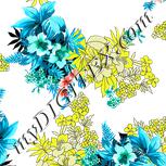 Colour:B