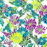 Colour:K