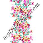 Colour:B