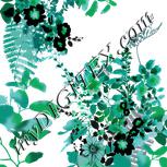 Colour:B
