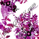 Colour:C