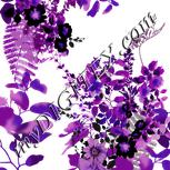 Colour:D