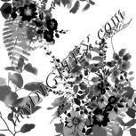 Colour:E