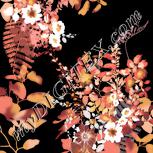 Colour:F