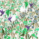 Colour:D