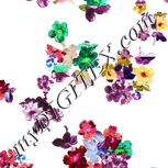 Colour:B