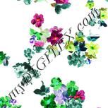 Colour:C