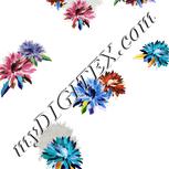 Colour:A