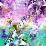 Colour:B