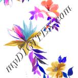 Colour:B