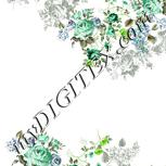 Colour:D