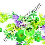 Colour:D