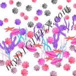 Colour:B
