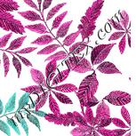 Colour:B
