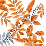 Colour:J