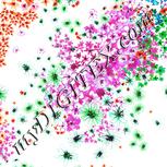 Colour:B