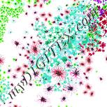 Colour:C