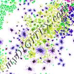 Colour:D