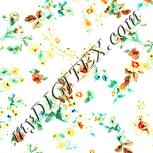 Colour:K