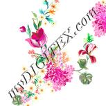 Colour:A
