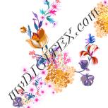 Colour:B