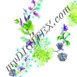 Colour:C
