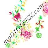Colour:K