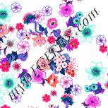 Colour:B