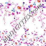 Colour:A