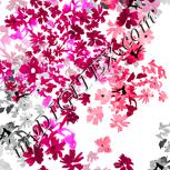 Colour:C